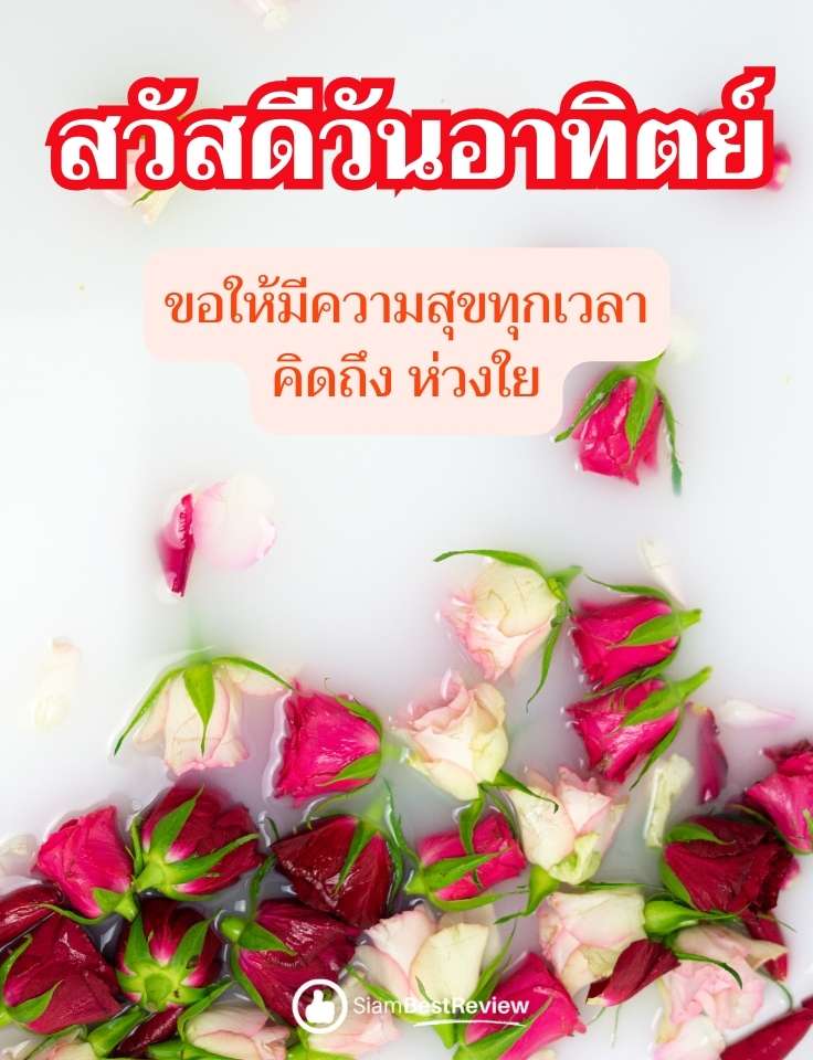 สวัสดีวันอาทิตย์ รวมรูปภาพ 100 กว่าภาพ แจกฟรี สวยๆใหม่ๆ - Siambestreview.Com