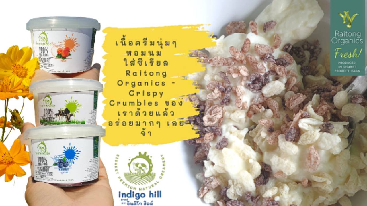 9. กรีก โยเกิร์ต Greek Yogurt โฮมเมด โยเกิร์ตผลไม้